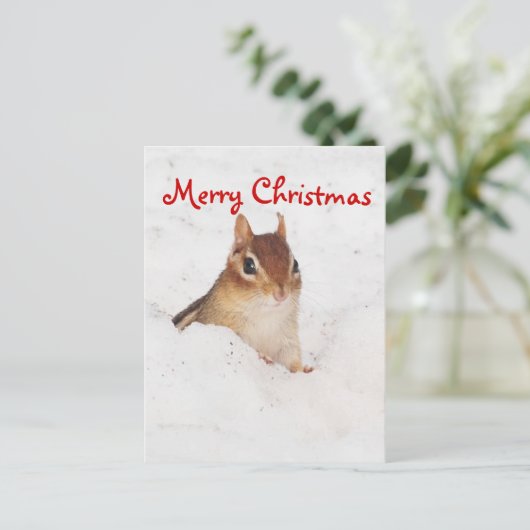 メリークリスマス小さな雪のチップムンク葉書 シーズンポストカード (スタンド正面)
