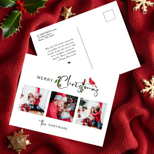 メリークリスマス書道植物写真3枚 シーズンポストカード