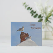 メリークリスマス海岸 シーズンポストカード (スタンド正面)