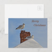 メリークリスマス海岸 シーズンポストカード (正面/裏面)