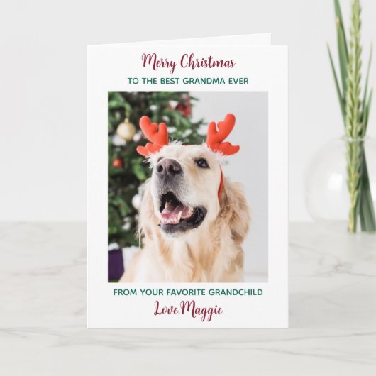 メリークリスマス犬おばあちゃんパーソナライズされたペット写真 シーズンカード (正面)
