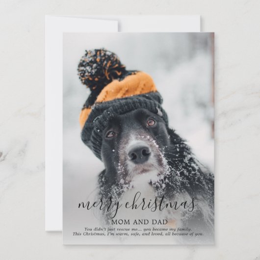 メリークリスマス犬の写真 シーズンカード (正面)