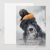 メリークリスマス犬の写真 シーズンカード (正面/裏面)