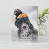 メリークリスマス犬の写真 シーズンカード (スタンド正面)