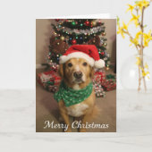 メリークリスマス犬 カード (黄色い花)