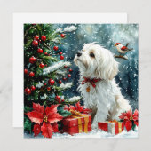 メリークリスマス犬 シーズンカード (正面/裏面)