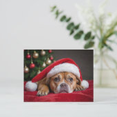 メリークリスマス犬 シーズンポストカード (スタンド正面)