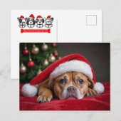 メリークリスマス犬 シーズンポストカード (正面/裏面)