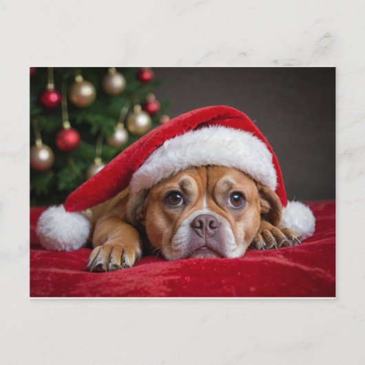 メリークリスマス犬 シーズンポストカード (正面)