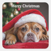 メリークリスマス犬 スクエアシール (正面)