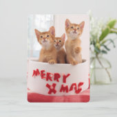 メリークリスマス猫ちゃん シーズンカード (スタンド正面)
