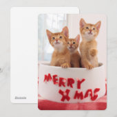 メリークリスマス猫ちゃん シーズンカード (正面/裏面)