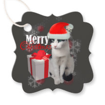 メリークリスマス猫とパック