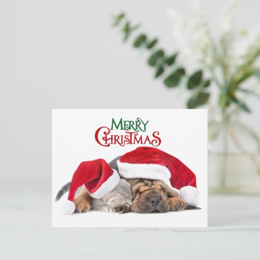 メリークリスマス猫と犬 シーズンポストカード (スタンド正面)