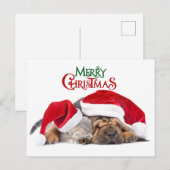メリークリスマス猫と犬 シーズンポストカード (正面/裏面)