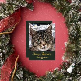メリークリスマス猫のフォト 箔シーズンカード