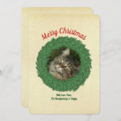 メリークリスマス猫のリースペット写真 シーズンカード (正面/裏面)