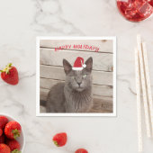 メリークリスマス猫の写真 スタンダードカクテルナプキン (インサイチュ)