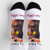 メリークリスマス猫の犬のペット動物の愛写真 ソックス (上部)