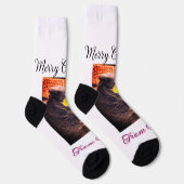 メリークリスマス猫の犬のペット動物の愛写真 ソックス (右)