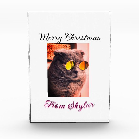 メリークリスマス猫の犬のペット動物の愛写真 フォトブロック (正面)