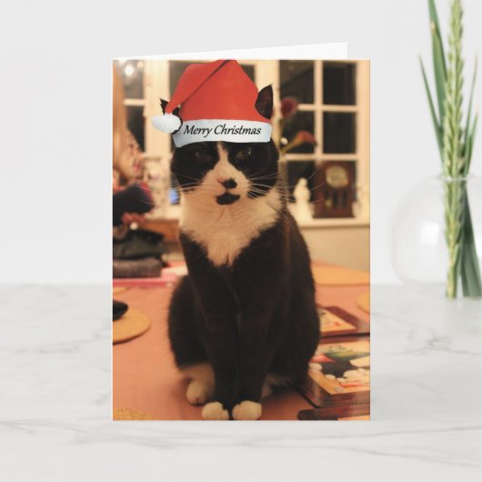 メリークリスマス猫カード シーズンカード (正面)