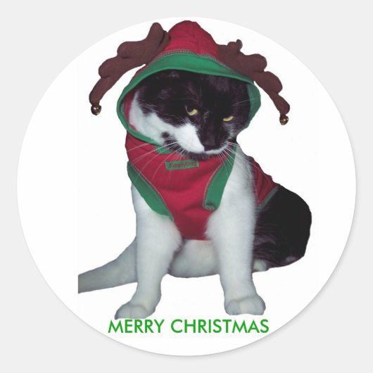 メリークリスマス猫シール ラウンドシール (正面)