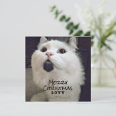 メリークリスマス猫ペット写真  シーズンカード (スタンド正面)