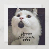 メリークリスマス猫ペット写真  シーズンカード (正面)