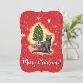 メリークリスマス猫 (スタンド正面)