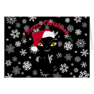 メリークリスマス猫