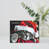 メリークリスマス猫 シーズンポストカード (スタンド正面)