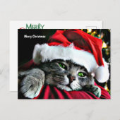 メリークリスマス猫 シーズンポストカード (正面/裏面)