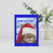 メリークリスマス猫 シーズンポストカード (スタンド正面)