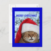 メリークリスマス猫 シーズンポストカード (正面/裏面)