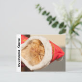 メリークリスマス猫 シーズンポストカード (スタンド正面)