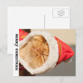 メリークリスマス猫 シーズンポストカード (正面/裏面)