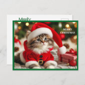 メリークリスマス猫 シーズンポストカード (正面/裏面)