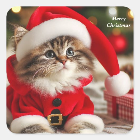 メリークリスマス猫 スクエアシール (正面)
