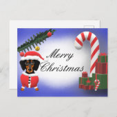 メリークリスマス空白のダックスドッグシーン ポストカード (正面/裏面)