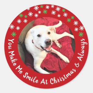 メリークリスマス笑顔の犬の写真おもしろい赤い円 ラウンドシール