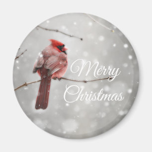 メリークリスマス美しい(鳥)ショウジョウコウカンチョウ マグネット