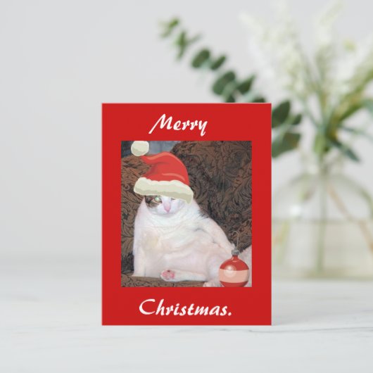 メリークリスマス葉書 シーズンポストカード (スタンド正面)