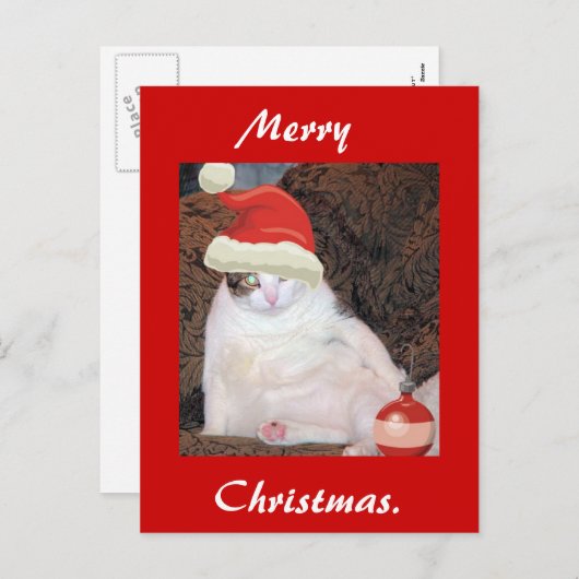 メリークリスマス葉書 シーズンポストカード (正面/裏面)