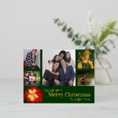 メリークリスマス赤5枚の写真レッドグリーンポインセチア 箔シーズンポストカード (立ち正面)