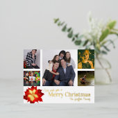 メリークリスマス赤5枚の写真レッドポインセチア 箔シーズンポストカード (立ち正面)