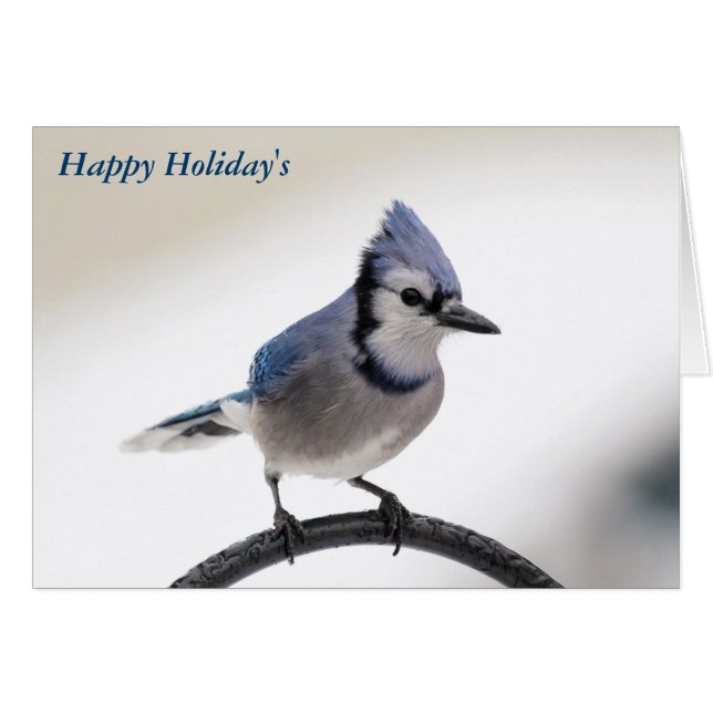 メリークリスマス (正面横)