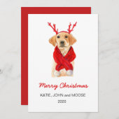 メリークリスマス2020ラブラドール赤いスカーフの子犬 案内状 (正面/裏面)