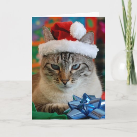 メリークリスマス(あなたはもしもいけな) シーズンカード (正面)