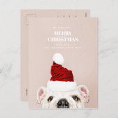 メリークリスマス.かわいい犬。アニマルサンタクロース シーズンポストカード (正面/裏面)